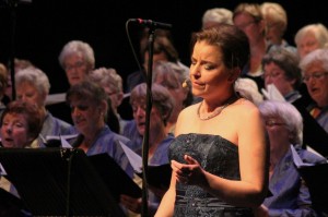 IMG_8073-a